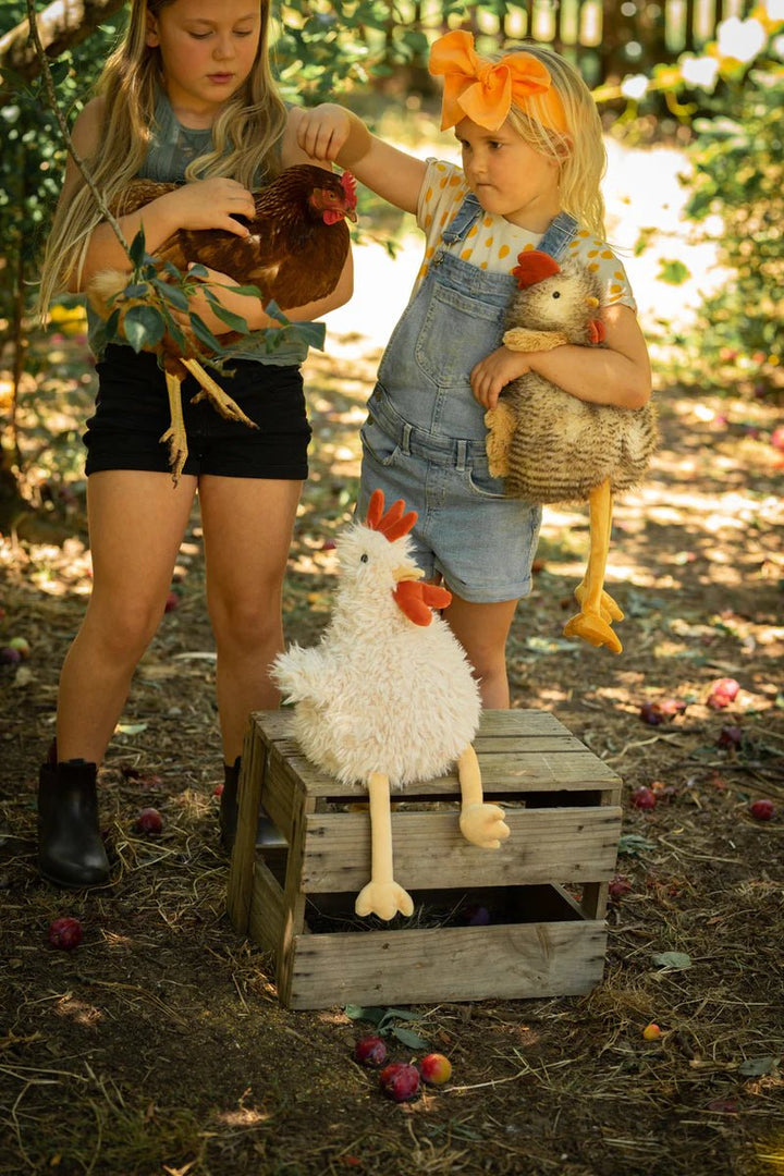 Roy the Rooster by Nana Huchy - Maude Kids Decor