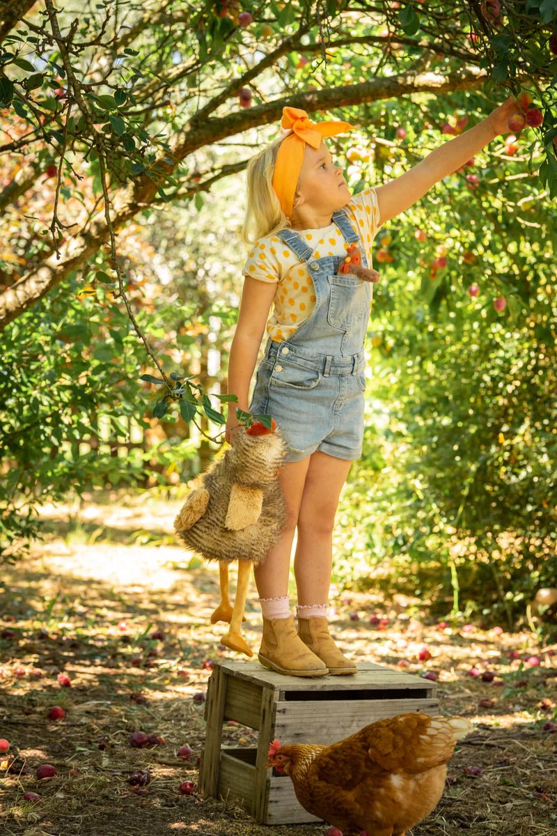 Rupert the Rooster by Nana Huchy - Maude Kids Decor