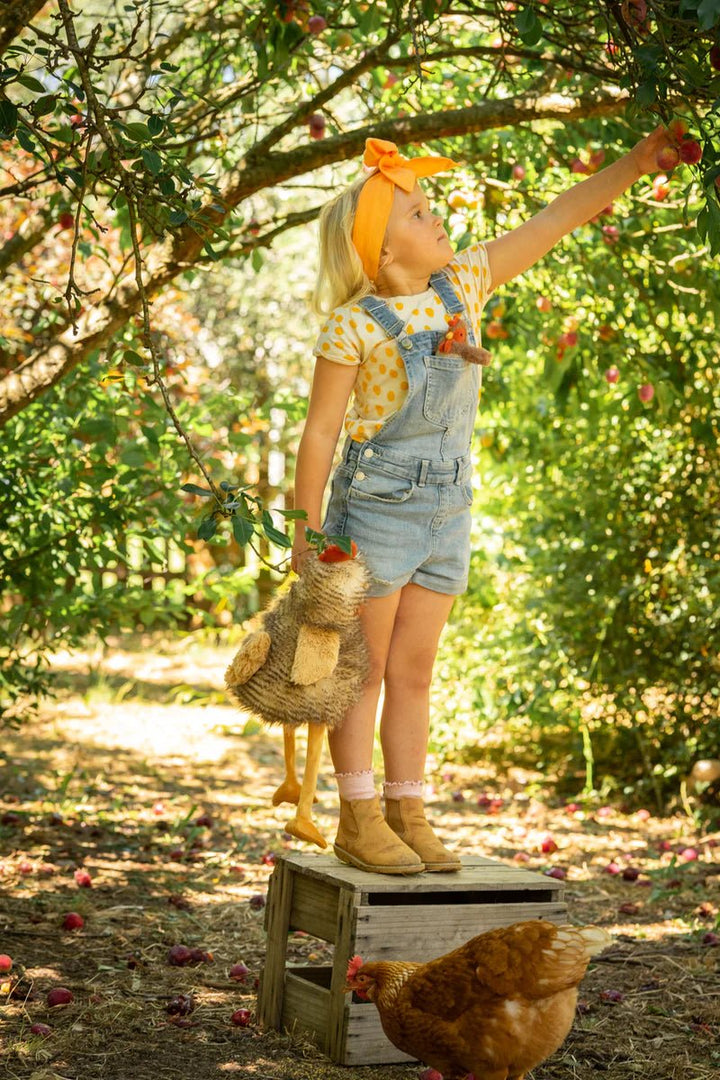 Rupert the Rooster by Nana Huchy - Maude Kids Decor