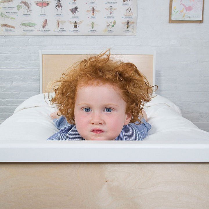 Sparrow Twin Bed by Oeuf - Maude Kids Decor