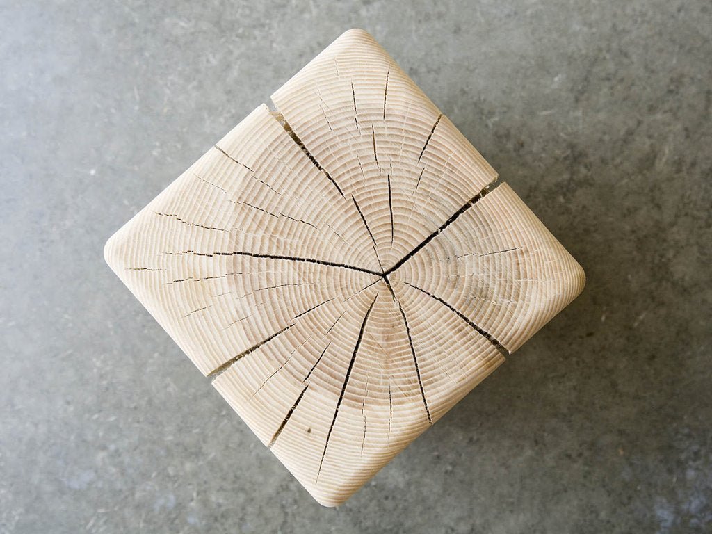 Stumps by Kalon Studios - Maude Kids Decor